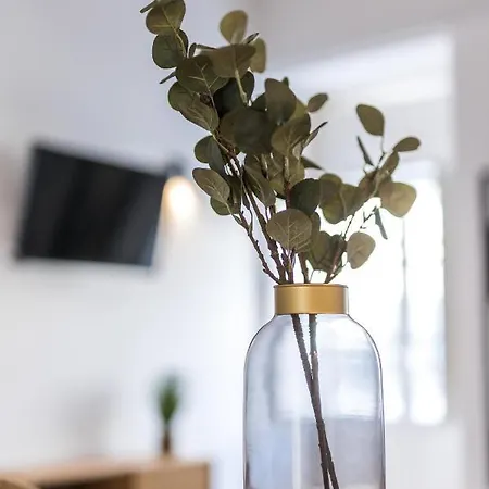 Apartamento Lodo Arco - Mezanino By Hd Faro